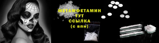 прущие грибы Наволоки
