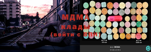прущие грибы Наволоки