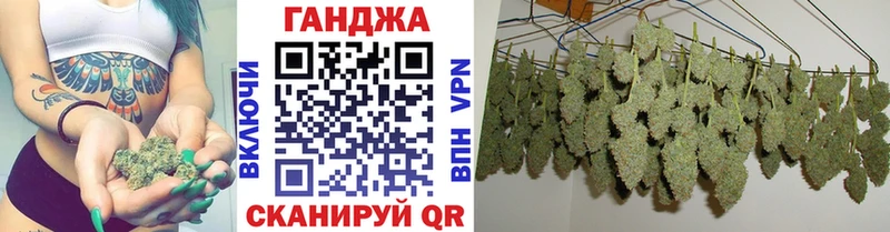 где найти наркотики  Сорочинск  Канабис сатива 
