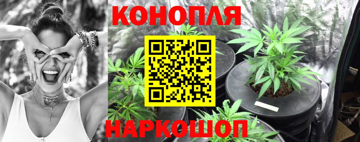 Бошки Шишки SATIVA & INDICA  Канабис тримм  Сорочинск  Вход с VPN 